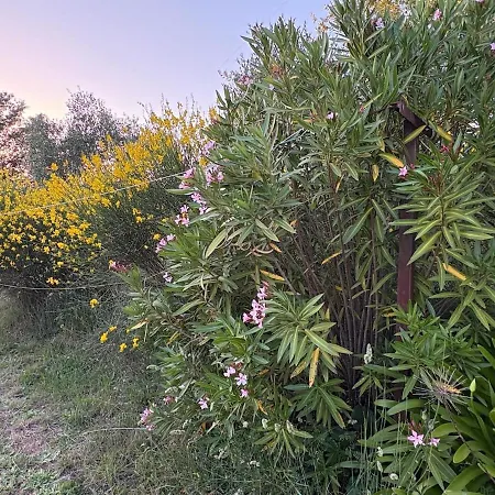 Charming For A Peaceful Escape Bracciano (Rome)